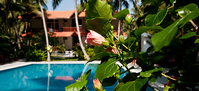 The Linta's: Ayurvedic Resort in Kerala, India. Ayurveda retreat in Kerala